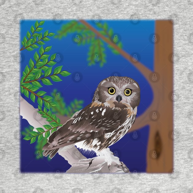 Northern Saw-whet Owl by DQDesigns By Chele